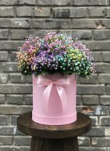 Цветочная композиция из Гипсофила и Розы в шляпной коробке #REPLACE_PRED# Белую Колпь