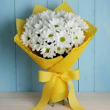 Букет цветов из:  Хризантемы в Белую Колпь
