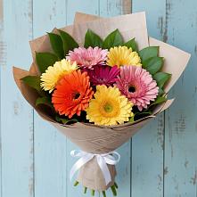 Букет цветов из:  Герберы в Белую Колпь