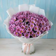 Букет цветов из:  Хризантемы в Белую Колпь