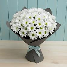 Букет цветов из:  Хризантемы в Белую Колпь