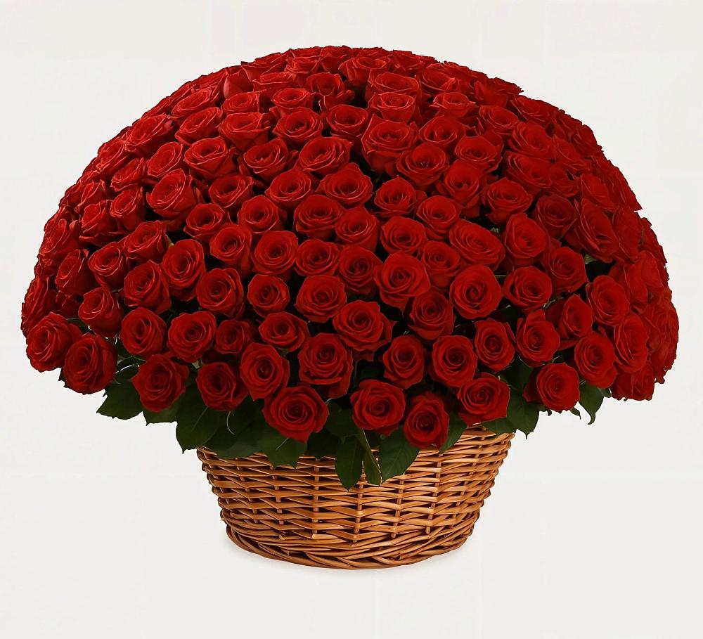 Премиум букет из: Розы в Белую Колпь