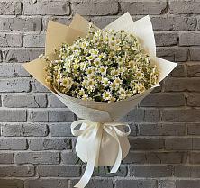 Букет цветов из:  Ромашки в Белую Колпь