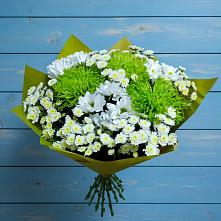 Букет цветов из:  Хризантемы в Белую Колпь