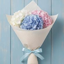 Букет цветов из:  Гортензия в Белую Колпь