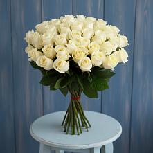 Букет 51 Белая роза Эдлесс Лав в Белую Колпь