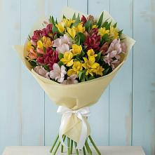Букет цветов из:  Альстромерии в Белую Колпь