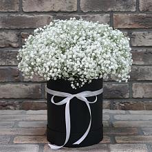 Цветочная композиция из Гипсофила в шляпной коробке в Белую Колпь