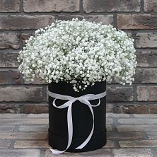 Цветочная композиция из Гипсофила в шляпной коробке в Белую Колпь
